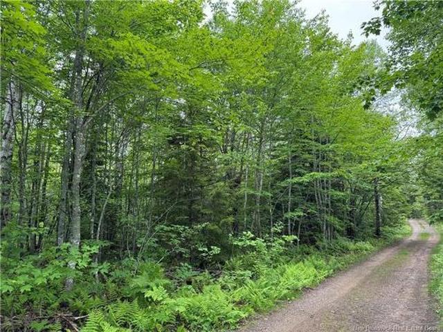 Lot Mahoney Rd, Sackville, NB, E4L 1P1 vacant land for sale | Listing ID NB142847 | Royal LePage