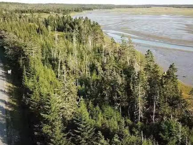 Lot No. 725 Highway, Clam Harbour, NS, B0J 1Y0 vacant land f.