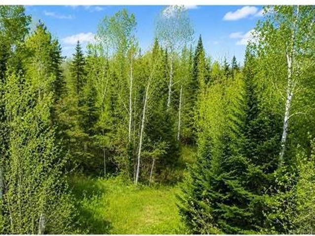 Lot Newburg Road, Newburg, NB, E7N 1N5 vacant land for sale | Listing ID NB139400 | Royal LePage
