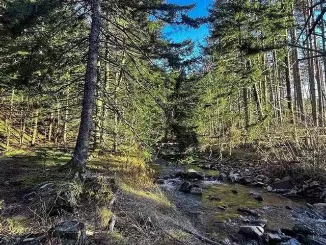 Lot Shore Road E, Mount Hanley, NS, B0S 1P0 vacant land for.