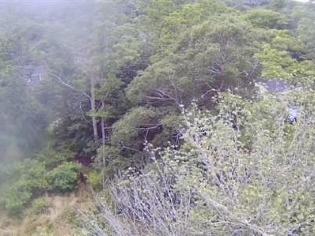 Lot Popes Rd, Upper Woods Harbour