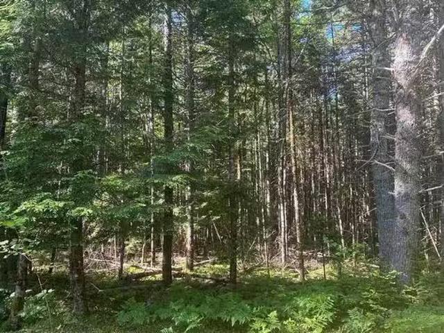 Lot Pid 60493061 Huey Lake Road, Mount Pleasant, NS, B0R 1G0.