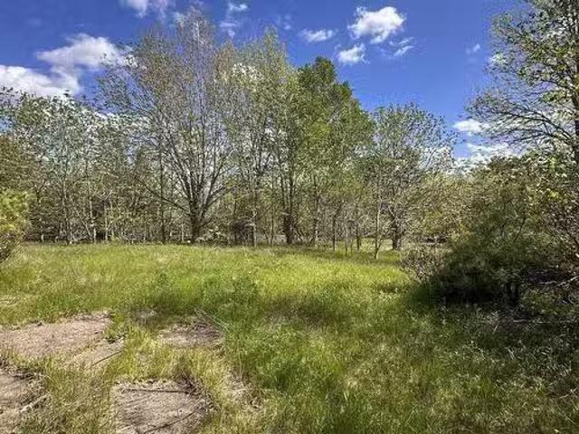 Lot Pid 70130604 Wellington Road, Buckfield, NS, B0T 1E0 v.