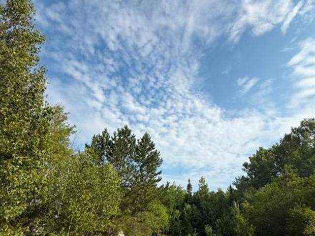Lot Route 126, Birch Ridge, NB, E4T 3M4 vacant land for sale | Listing ID NB135821 | Royal LePage