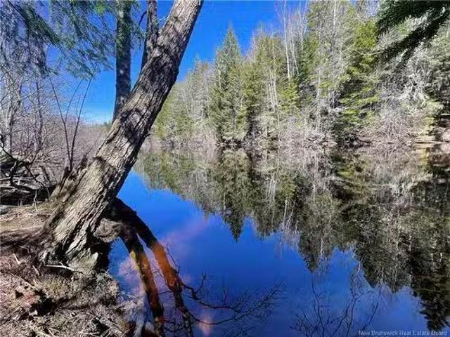 Lot Route 126, Rogersville, NB, E4Y 2N8 vacant land for sale.