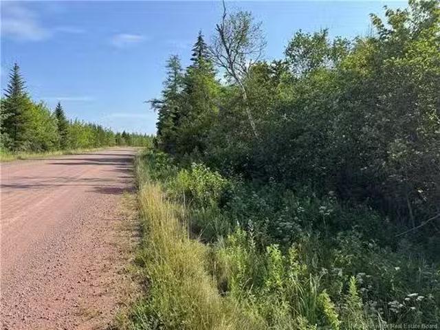 Lot Route 935, Wood Point, NB, E4L 0A9 vacant land for sale.