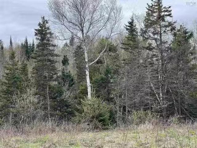 Lot Rjg 1 Long Beach Road, West Glenmont, NS, B0P 1H0 vacant.