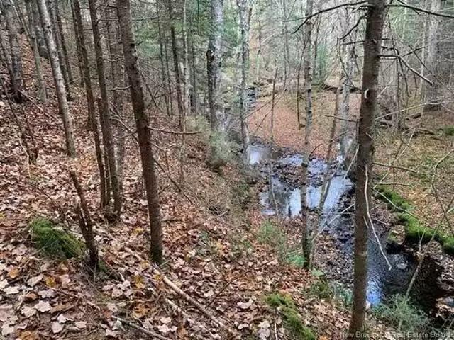 Lot Worden Rd, Kingston, NB, E5N 1T4 vacant land for sale L.
