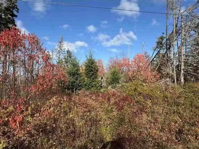 Lot Willow Lane, Priest Pond, PE, C0A 2B0 vacant land for sa.