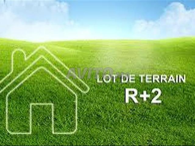 Lot terrain