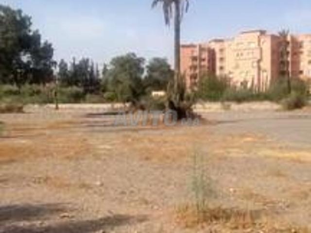 Lot urbaine3façades 7000m2 marrakech