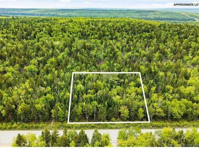 Lot Zionville Rd, Taymouth, NB, E3C 1Z3 vacant land for sale | Listing ID NB141615 | Royal LePage