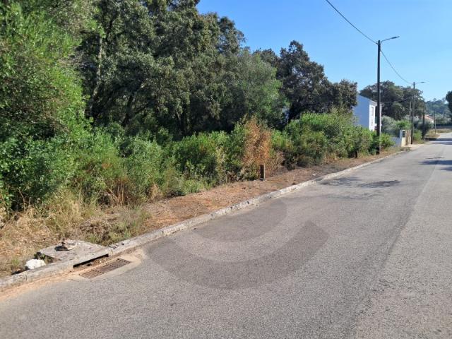 Lote, Minde, Alcanena | BPI Expresso Imobiliário