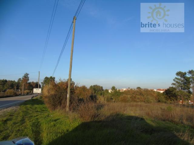 Lote, Asseiceira, Tomar | BPI Expresso Imobiliário
