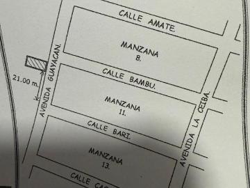 lote brisas del carrizal