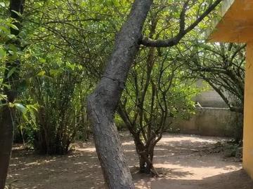 Lote con construcción en Tenango Tlaxcala a 15 minutos de Valquirico