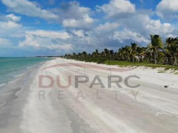 Lote con Frente de Playa, 490m2