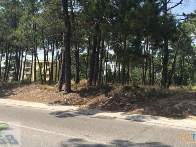 Lote Const. Edifício Azeitão | 26083769815