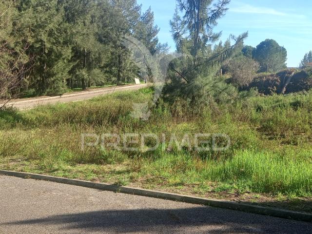 Lote de Moradia geminada