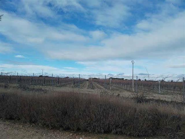 LOTE DE FINCAS RUSTICAS EN CODORNIZ, SEGOVIA