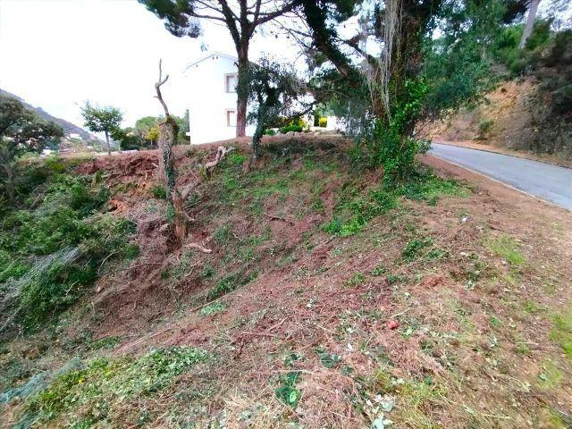 Lote de Parcelas en ROSAMAR