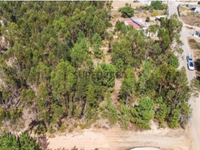Lote de Terreno com Elevado Potencial de Construção Herdade do Pinhal das Formas, Quinta do Anjo