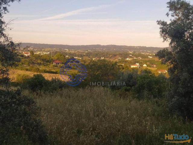Lote de terreno com projeto aprovado a 2 minutos do centro da cidade de Tomar | 26063789030