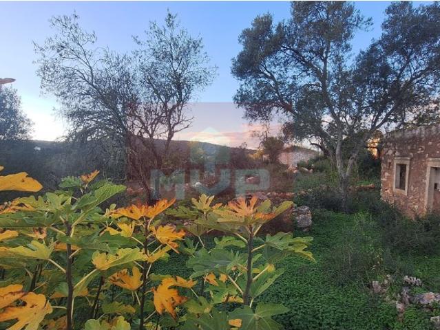 Lote de Terreno com projeto para moradia 150m2 a 7 km de Loulé