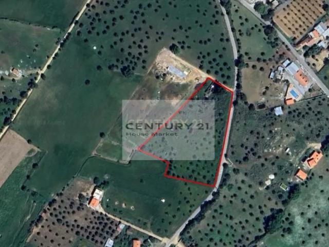 Lote de Terreno com Ruína em Montemor o Novo