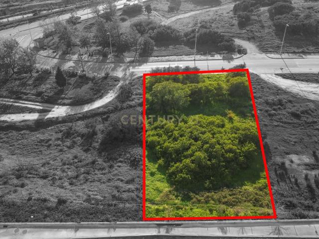 Lote de terreno com 2.500 m², destinado a construção industrial Parque Industrial SAPEC BAY, Setúbal