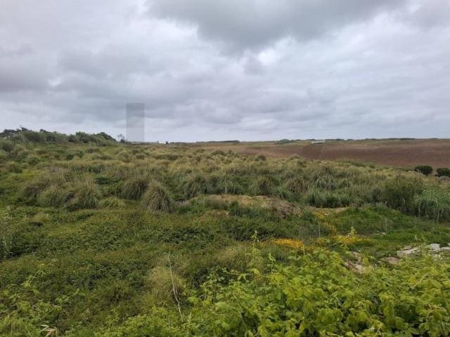 Lote de Terreno com 344 m² no Barril Encarnação