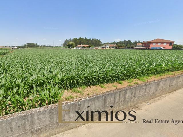 Lote de terreno com 577m2, em Balasar, Póvoa de Varzim