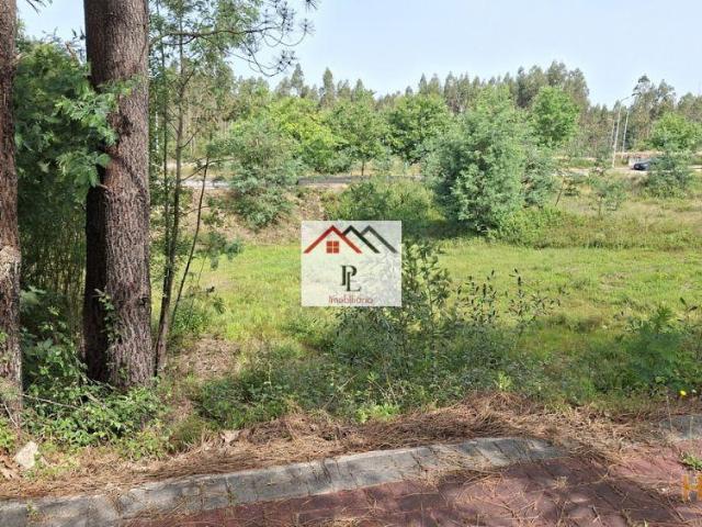 Lote de Terreno Construção em Altura | Vila Nova de Poiares | Coimbra | 26084088646