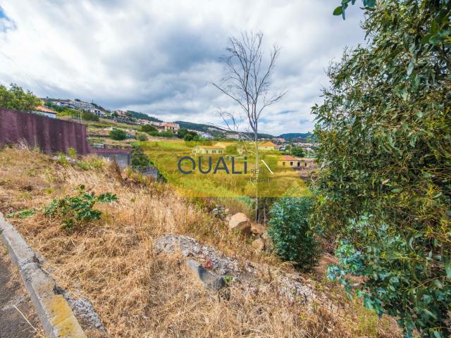 Lote de Terreno, Gaula, Santa Cruz | BPI Expresso Imobiliário