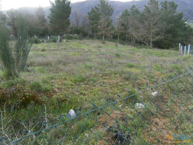 Lote de terreno em Samaiões | 26080200849
