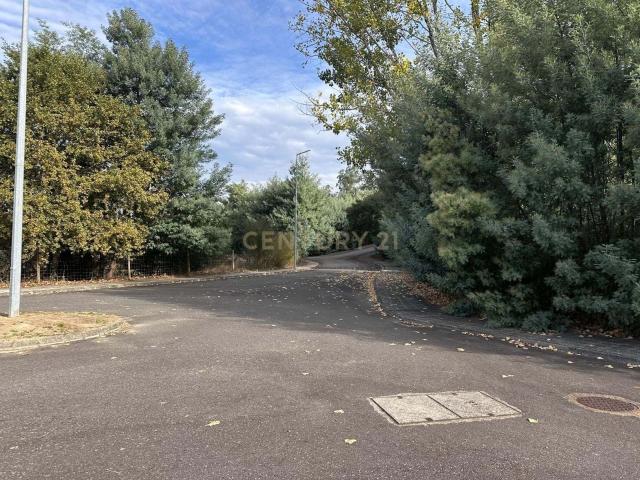 Lote de terreno em Santa Comba Dão com Vista Campestre