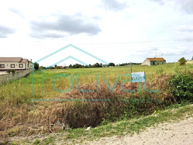 Lote de Terreno Foros de Salvaterra