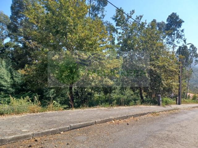 LOTE DE TERRENO JUNTO AO CENTRO DA VILA COM VIABILIDADE DE CONSTRUÇÃO