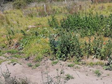 Lote de terreno listo para construir