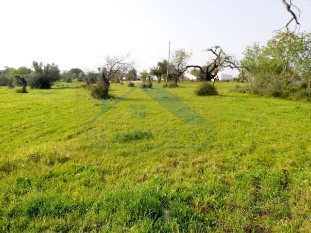 Lote de Terreno de 470m2 Monte Branco Gambelas P/ Construção de Moradia de 281m2 2 Andares