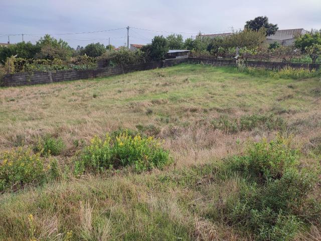 Lote de Terreno no Valongo em Castelo Branco
