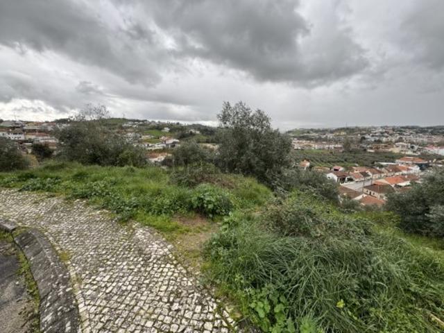 Lote de Terreno na Batalha Leiria