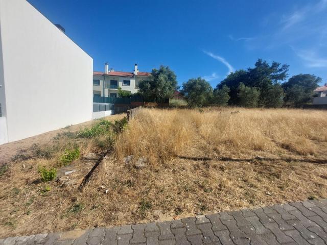 Lote de Terreno na Quinta da Americana Amora Oportunidade para Construir a Sua Moradia de Sonho