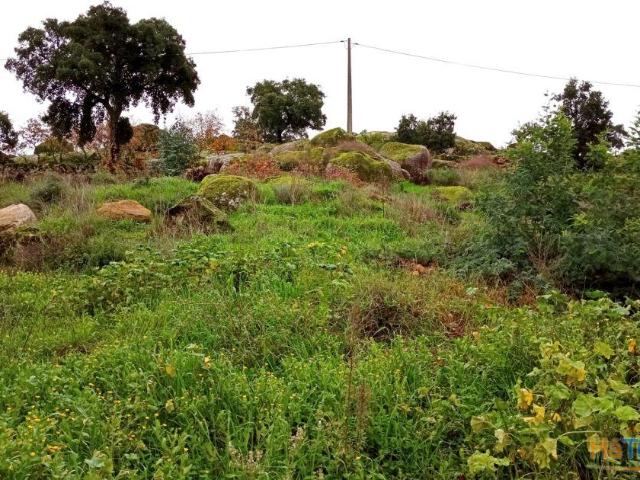 Lote de Terreno na zona da Quinta da Carapalha em Castelo Branco | 25073171972