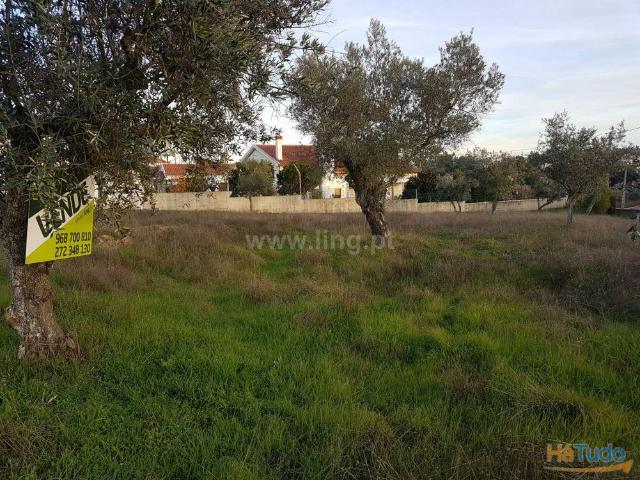 Lote de Terreno nas Benquerenças, Castelo Branco. | 26071786643