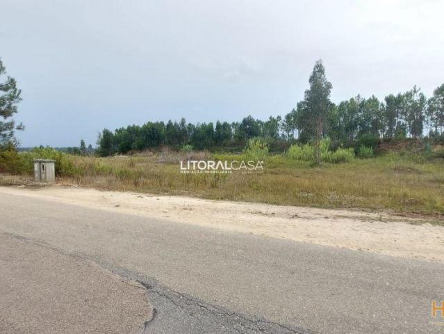 Lote de terreno p/ construção | Carregal | 26083486797
