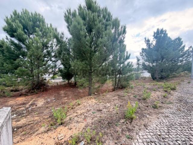 Lote de Terreno para contrução Rio Maior