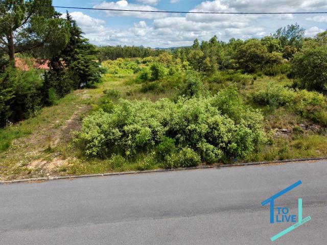 Lote de Terreno para Construção 1550 m2 | Próximo de Tomar e Ferreira do Zêzere