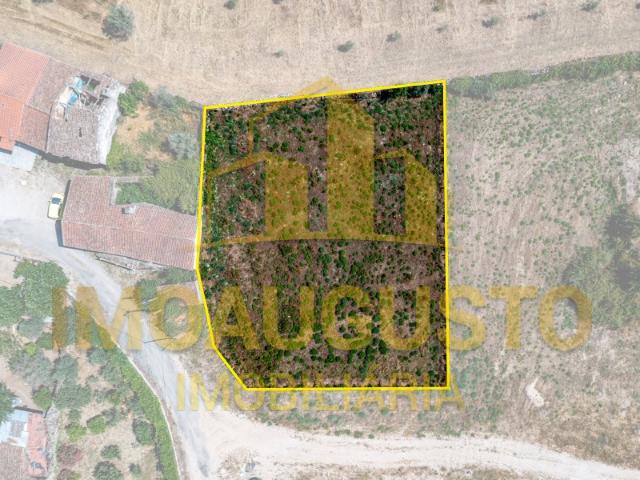 Lote de terreno para construção