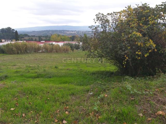 Lote de terreno para construção de moradia isolada no centro de Fornos Algodres!